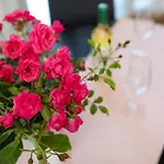 House Apartament *
