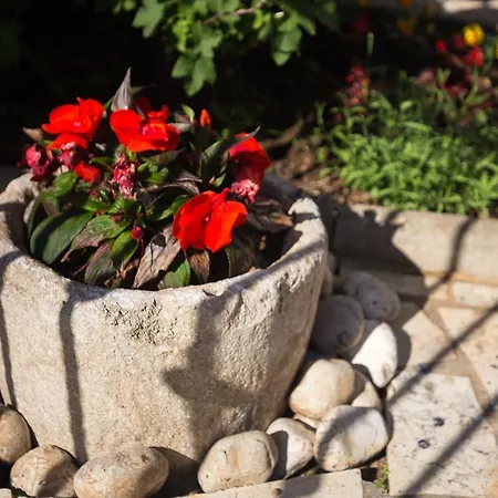 House Apartamento Risika