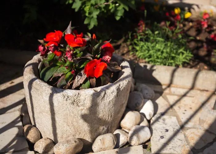 House アパート リスィカ